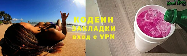винт Щигры