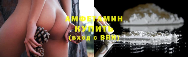 дмт Шали