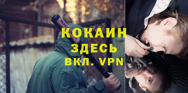дмт Ладушкин